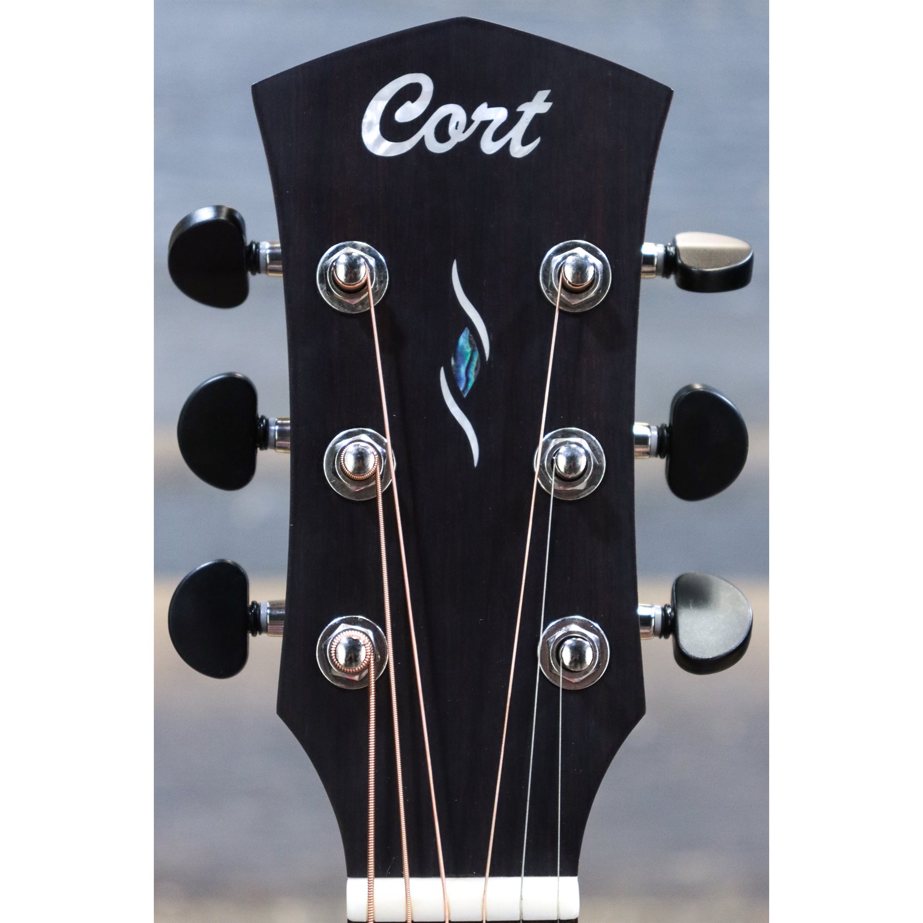 shopping for cort bass