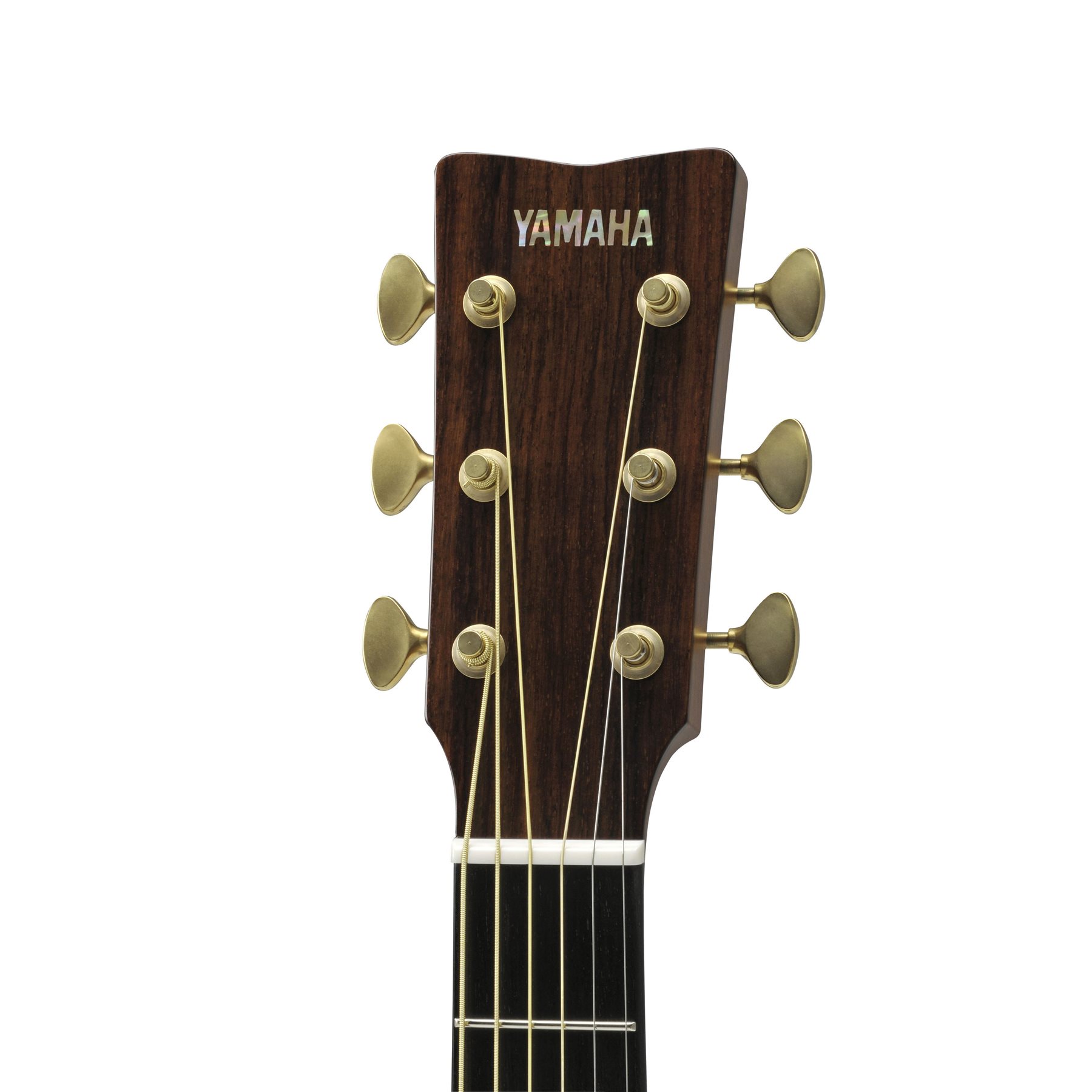 Göldo Chevalet guitare acoustique palissandre, espacement des cordes de 55  mm