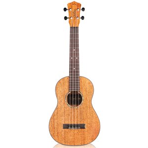 CORDOBA 30T TENOR