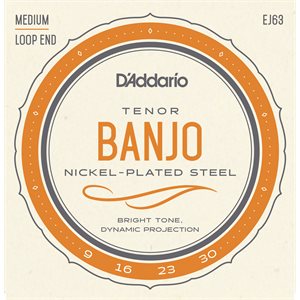 D'ADDARIO EJ63 TENOR BANJO, NICKEL, 9-30