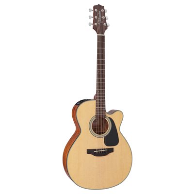 TAKAMINE GN10CE-NS