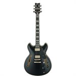 IBANEZ JSM20-BKL JOHN SCOFIELD SIGNATURE BLACK LOW GLOSS