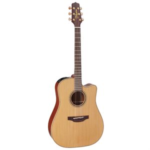 TAKAMINE P3DC AVEC ÉTUI RIGIDE