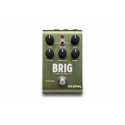 STRYMON BRIG MULTI VOICED DBUCKET DELAY